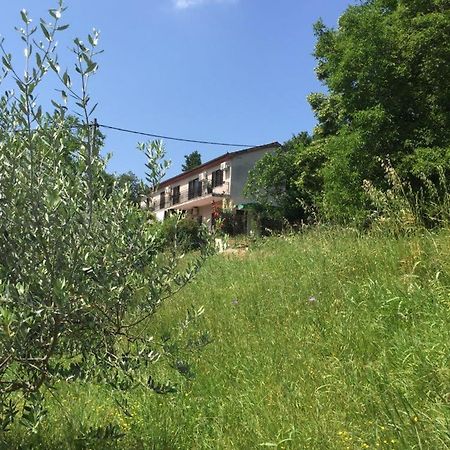 Apartment Cimbora, Salara Farmhouse Koper Zewnętrze zdjęcie
