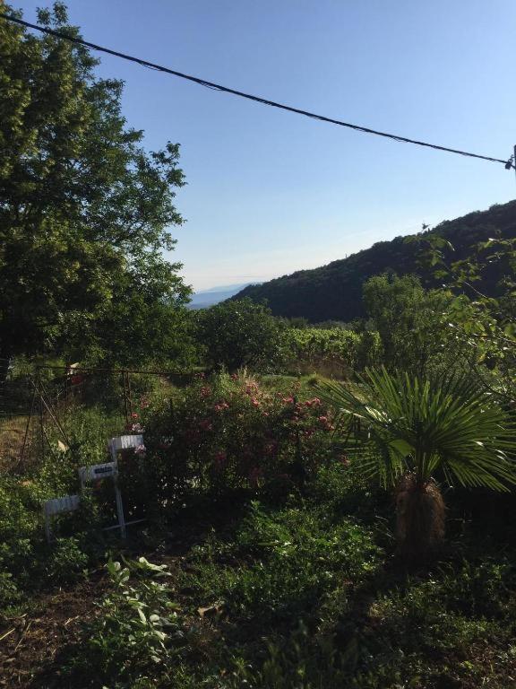 Apartment Cimbora, Salara Farmhouse Koper Zewnętrze zdjęcie