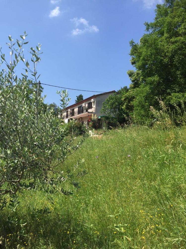 Apartment Cimbora, Salara Farmhouse Koper Zewnętrze zdjęcie