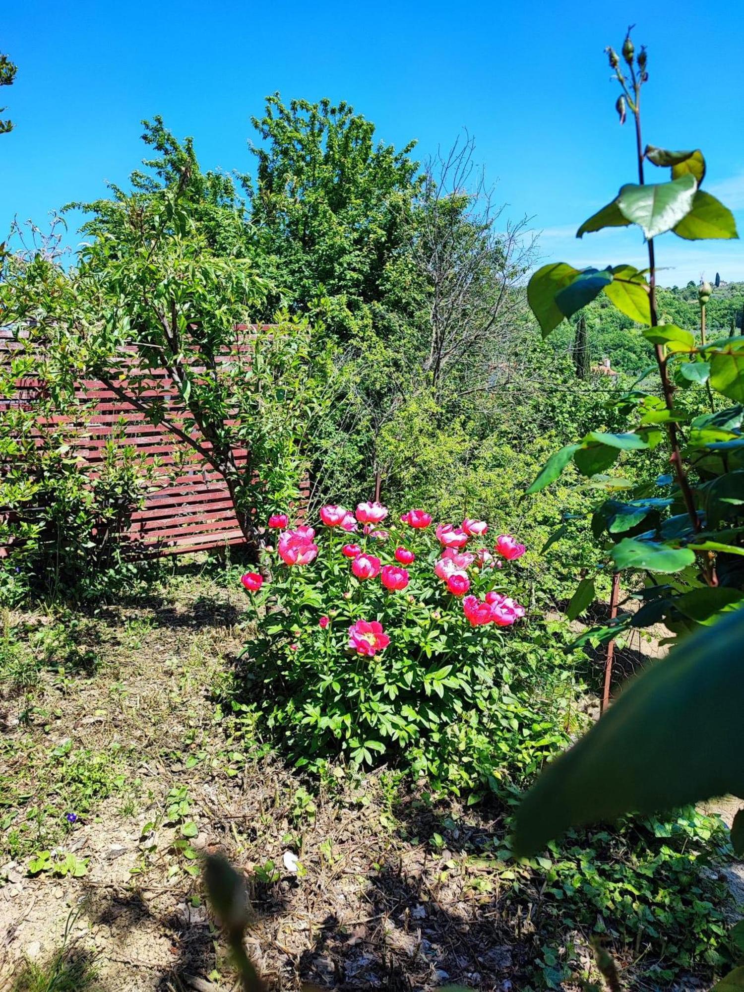Apartment Cimbora, Salara Farmhouse Koper Zewnętrze zdjęcie