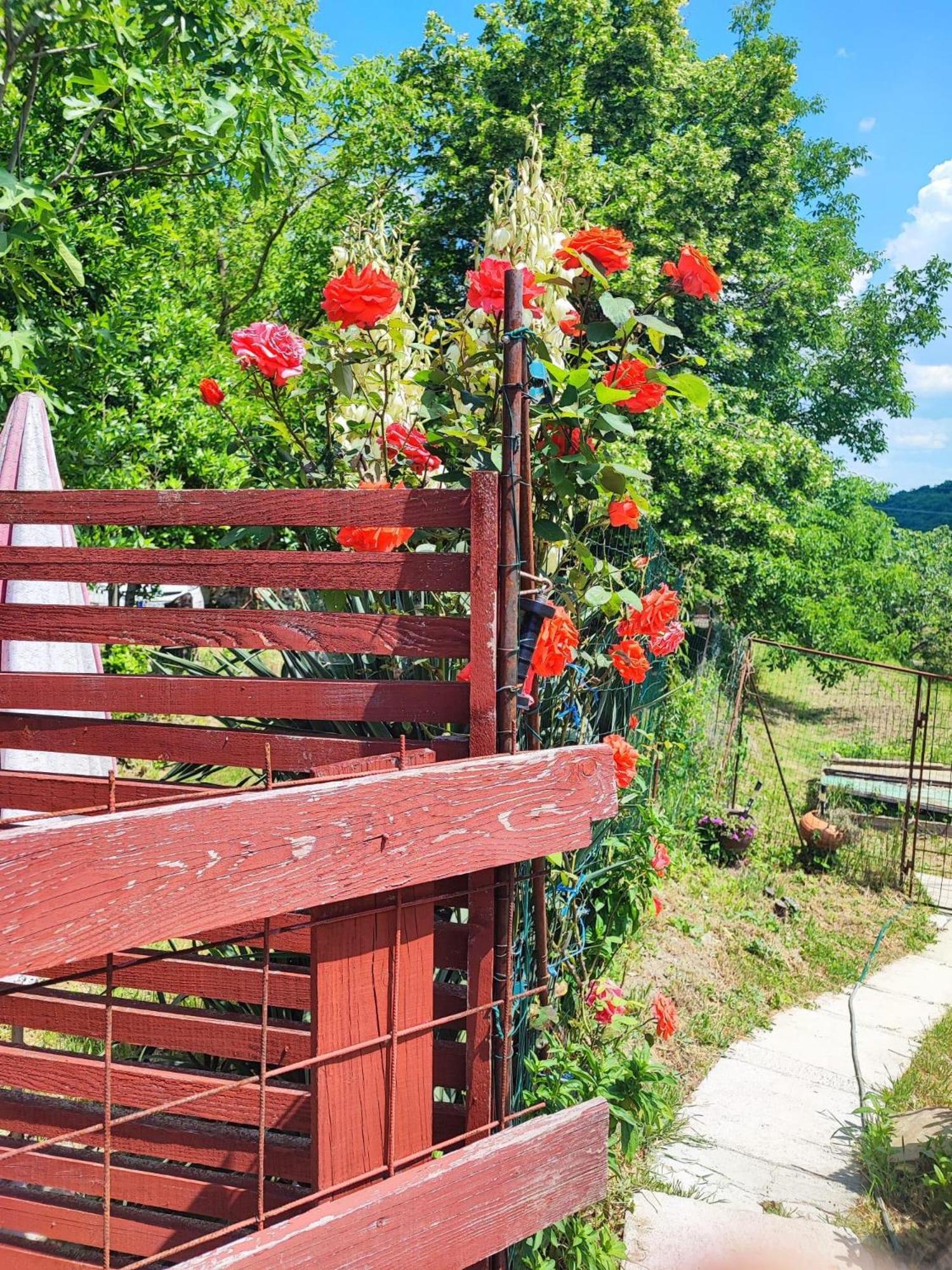 Apartment Cimbora, Salara Farmhouse Koper Zewnętrze zdjęcie